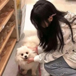 指挥官游戏九游版下载